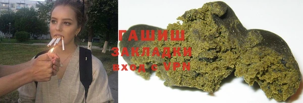 мдпв Ельня