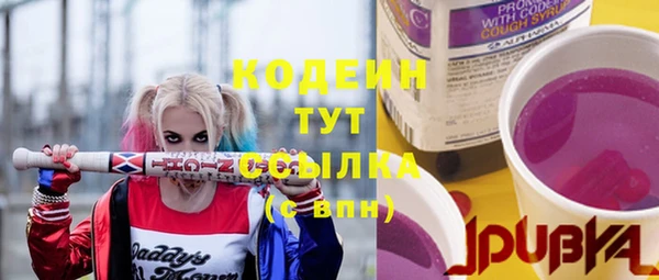 мдпв Ельня