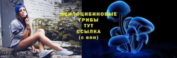 мдпв Ельня