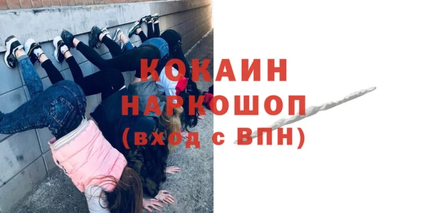 мдпв Ельня