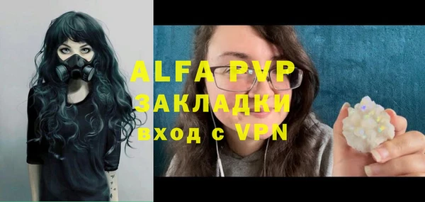 мдпв Ельня