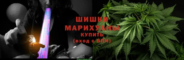 мдпв Ельня