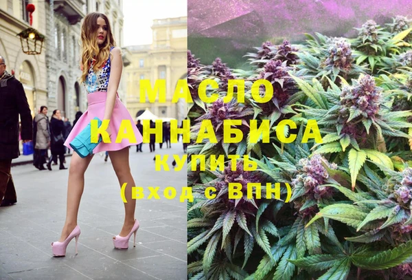 мдпв Ельня