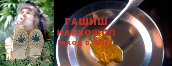 мдпв Ельня