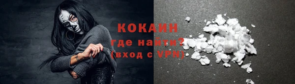 мдпв Ельня