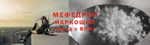 мдпв Ельня