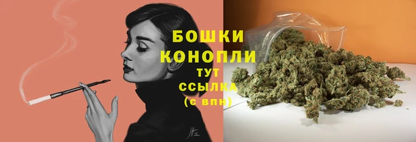 ГАЛЛЮЦИНОГЕННЫЕ ГРИБЫ Елизово