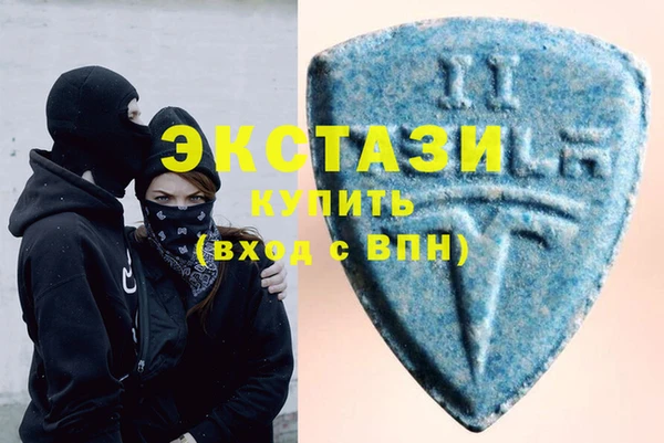 мдпв Ельня