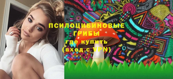 амф Елабуга