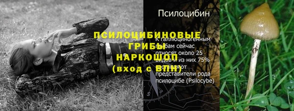 ГАЛЛЮЦИНОГЕННЫЕ ГРИБЫ Елизово