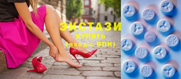 мдпв Ельня