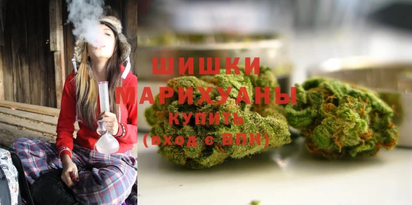 амф Елабуга