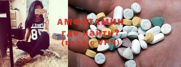 мдпв Ельня