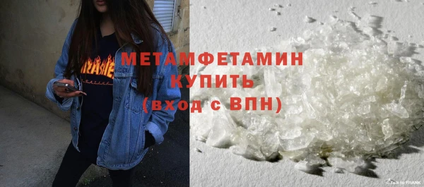 мдпв Ельня