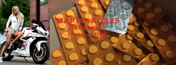 ГАЛЛЮЦИНОГЕННЫЕ ГРИБЫ Елизово