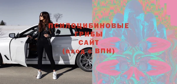 мдпв Ельня